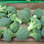 Broccoli