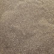 Chia seeds
